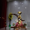 VasantPanchami2015-20
